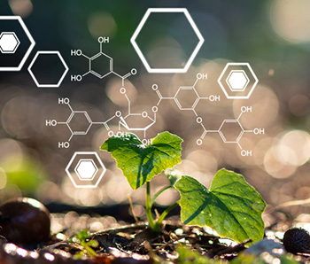 1.1.1 使命-愿景-价值观.jpg